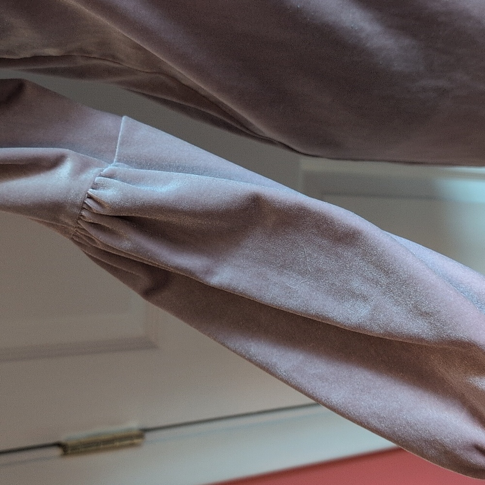 Madewell Mauve V-Neck Long Sleeve Velour Dress - Picture 3 of 9